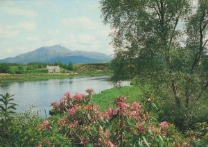 Scotland Postcard-Loch Shiel & Ben Resipol From Shiel Bridge,Ardnamurchan RR8426