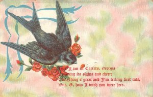 BIRD & ROSES GREETINGS FROM CARTERS GEORGIA DPO EMBOSSED POSTCARD 1909