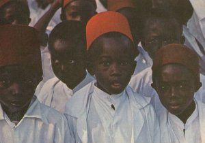 Gambia School Boys on Independence Parade Day Africa Postcard