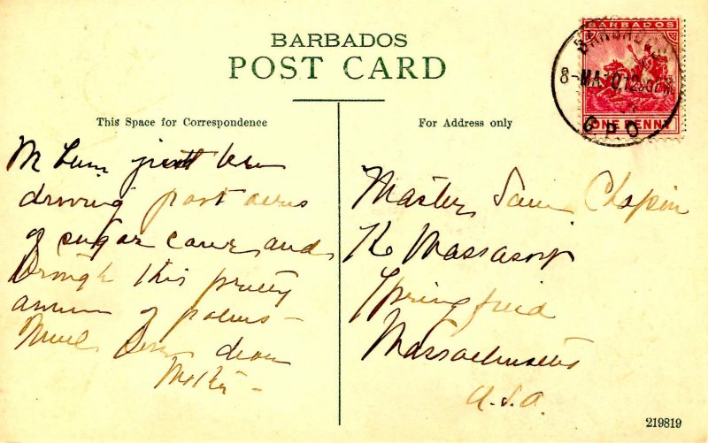 Barbados - Belleville. Palm-Lined Road