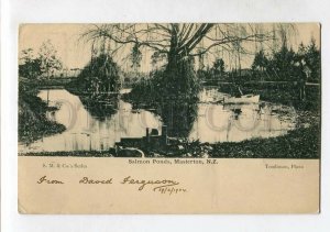 3144848 NEW ZEALAND MASTERTON Salmon Ponds Vintage postcard