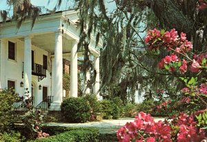 VINTAGE CONTINENTAL SIZE POSTCARD BOONE HALL PLANTATION AT CHARLESTON S.C.