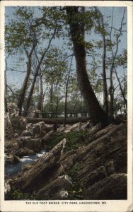 Hagerstown Maryland MD City Park Foot Bridge c1910 Vintage Postcard