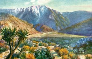 c. 1930 MT. Jacinto Desert CA F.B. Standish Postcard P31