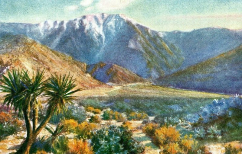 c. 1930 MT. Jacinto Desert CA F.B. Standish Postcard P31 