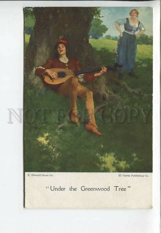 436103 W.L. TAYLOR Musician Under Greenwood Tree Vintage postcard Edward Gross