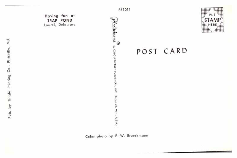 Postcard WATER SCENE Laurel Delaware DE AU4833