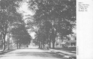 DANBURY, CT Connecticut   DEER HILL AVENUE~Large Homes  c1900's UDB Postcard