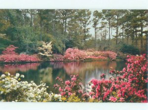 Pre-1980 BELLINGRATH GARDENS Mobile Alabama AL AF6718