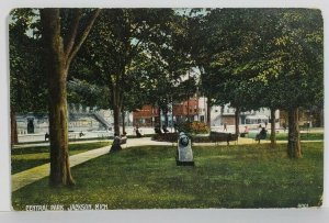 Jackson Michigan Central Park 1907 to Mulberry Str. Springfield Ohio Postcard N8