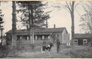 Pony Chores Horses Unused 