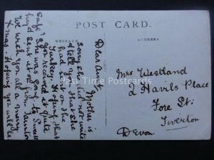 LADY RIDING SIDE SADDLE ON HORSE IN COW FIELD early RP Postcard sent to Tiverton