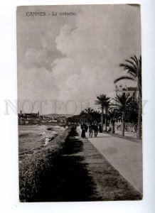 191310 FRANCE CANNES La croisette Vintage postcard