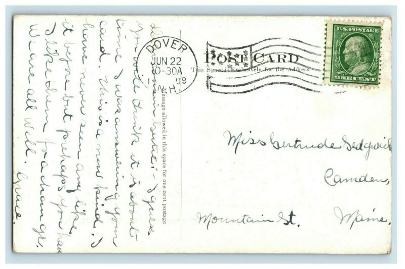 C. 1907 Bark Border. Central Square, Dover, N.H. Postcard F81 