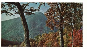 Vintage Postcard Blue Ridge Parkway Virginia and North Carolina National Park