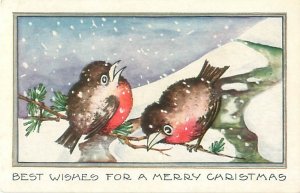 Robins in Snowfall Embossed Christmas Postcard by Whitney