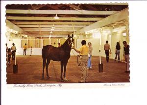 The Big Barn Interior, Kentucky Horse Park, Lexington, Kentucky, Photo Durham