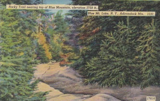 New York Blue Mountain Lake Rocky Trail In The Adirondack Mountains