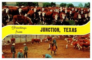 Postcard FARM SCENE Jucton Texas TX AP1454