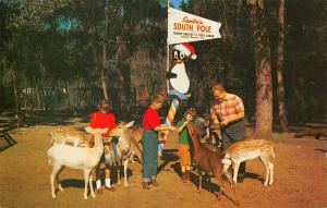 Silver Springs Florida 1950s Postcard Tommy Bartlett's Ranch Santas South Pole