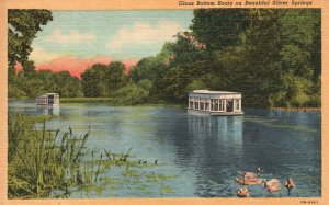 Vintage Postcard Glass Bottom Boats Underwater Fairyland Silver Springs Florida