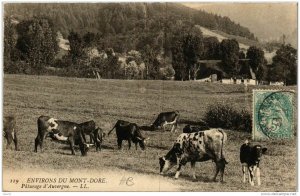 CPA Env. du MONT-DORE Paturage d'Auvergne (722035)