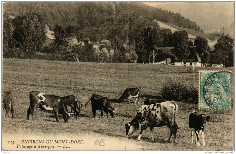 CPA Env. du MONT-DORE Paturage d'Auvergne (722035)