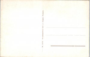 1910s Konig Theater Wiesbaden Germany Postcard