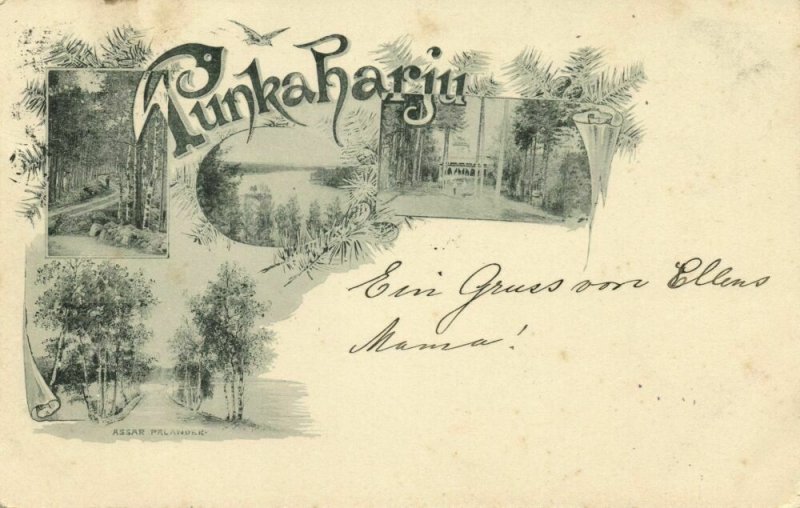 finland suomi, PUNKAHARJU, Savonia, Assar Palander (1898) Postcard