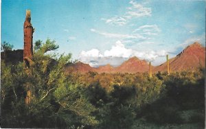 An American Panorama Gates Pass in the Tucson Mountains Tucson Arizona