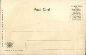 East Greenwich RI Main St. c1905 Postcard UDB - NICE COLOR
