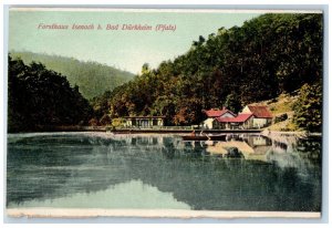 Rhineland-Palatinate Germany Postcard Forsthaus Isenach Bad Dürkheim c1910