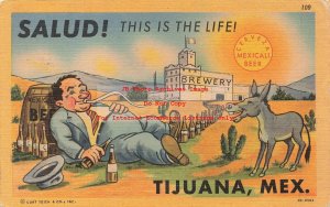 Curt Teich Linen Comic Postcard, Salud! This is the Life! Mexicali Beer, Tijuana