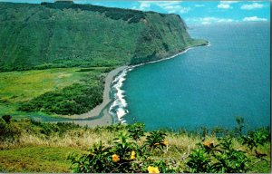 Vintage Postcard Waipio Valley, Hawaii JL9