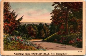 Saludos desde sanbornville nh New Hampshire Lino Postal PM Watkins Glen New York 