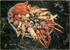 Modern Postcard The seafood
