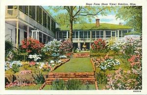 MS, Natchez, Mississippi, Hope Farm, Curteich No. 8B289-N
