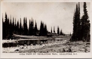 Revelstoke BC from Mt. Revelstoke Park British Columbia Gowen RPPC Postcard E78