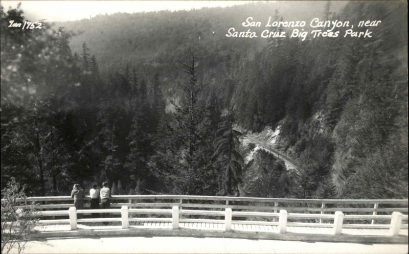 Santa Cruz California CA San Lorenzo Canyon Big Trees Park Real Photo PC