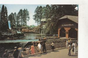 BF33307 freizeit und fam europa park rust baden germany 10x5cm  front/back image