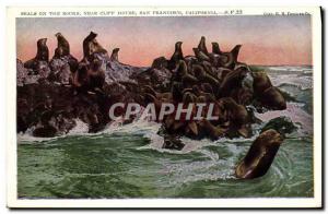 Old Postcard Seals on the rocks near Cliff House in San Francisco California ...