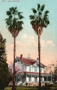 Vintage Postcard Tall Pan Palms White Residential House Beautiful Scenic View