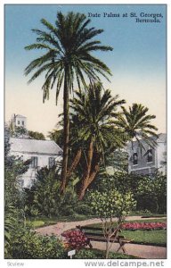 Date Palms , St Georges , Bermuda , 00-10s