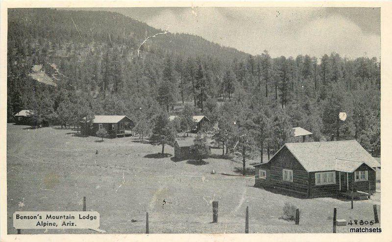 1940s ALPINE ARIZONA Benson's Mountain Lodge Western photos postcard 2467 