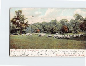 Postcard Elizabeth Park Hartford Connecticut USA