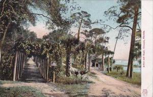 Florida Ormond Arbor &amp  Road