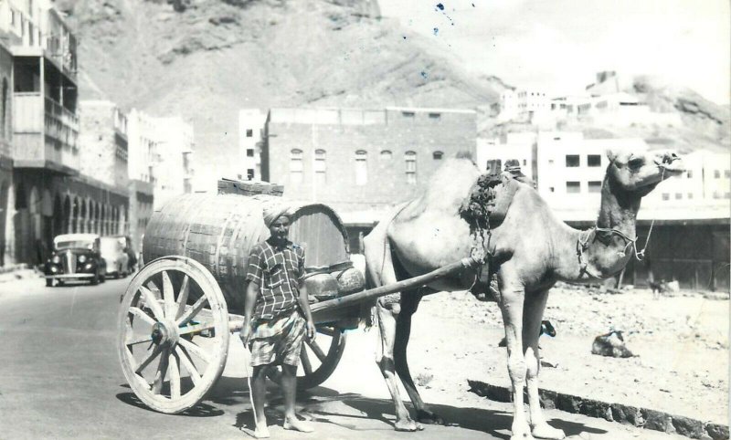 Yemen Aden water seller crater camel traction ethnic life real photo postcard