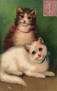 PC CATS, TWO CATS WITH RIBBONS, Vintage EMBOSSED Postcard (b47057)