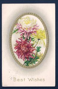 Carnations & Best Wishes used c1910