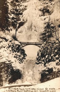 USA Columbia River Highway Oregon Multnomah Falls Vintage RPPC 03.98